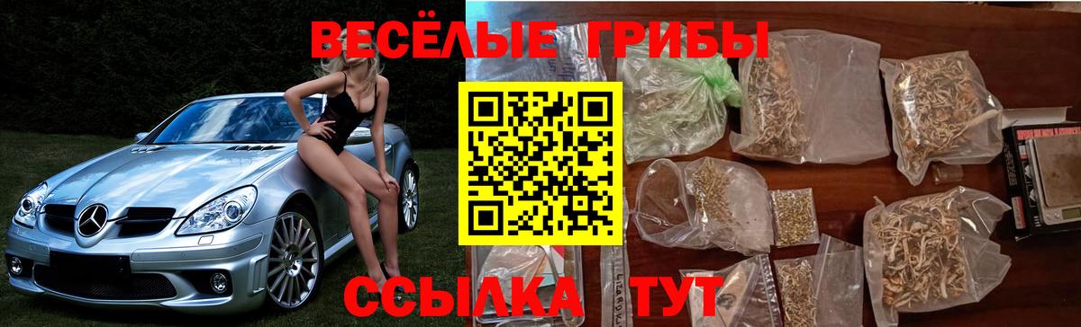 Жигулёвск  Галлюциногенные грибы Magic Shrooms  Псилоцибиновые грибы мицелий  цена наркотик  Вход с VPN 